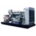 Natural Gas Power Generator Set 50Hz/1500rpm